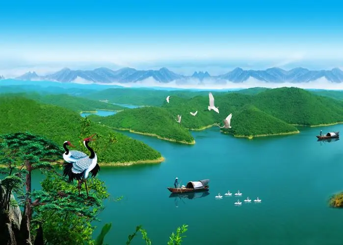 全自动高性能